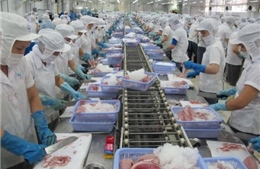 EU cảnh báo các cơ sở xuất khẩu thủy sản Việt Nam